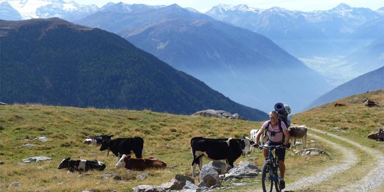 Tour to Alp of Planeil