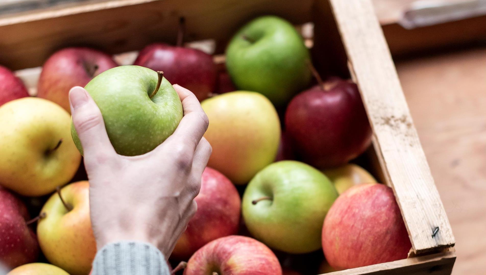 Summer recipes from the Laces-Val Martello: enjoyment for hot days! - Apple “Knödel” - Apple “Knödel”