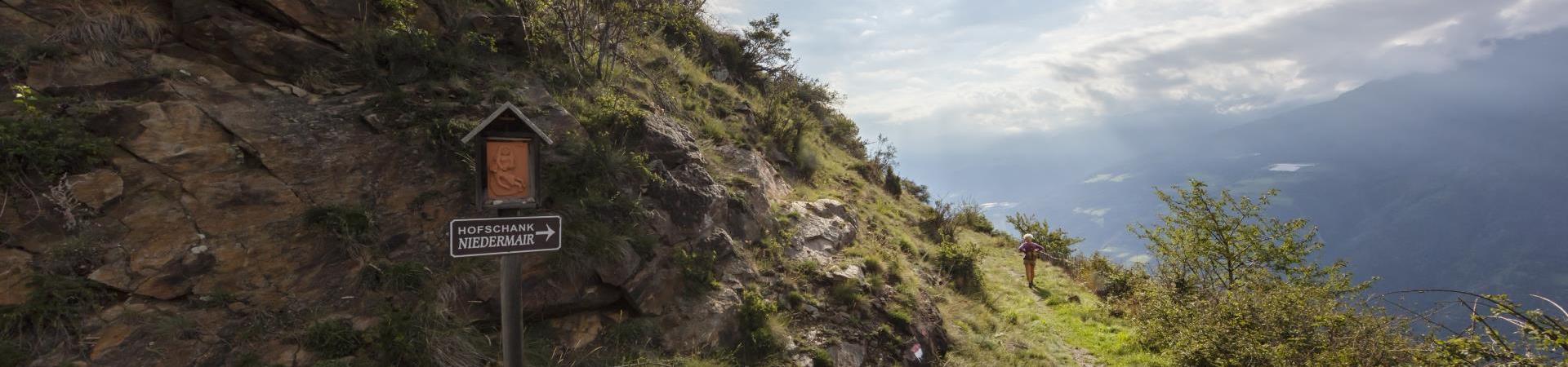 landschaft-vinschger-hoehenweg-fb