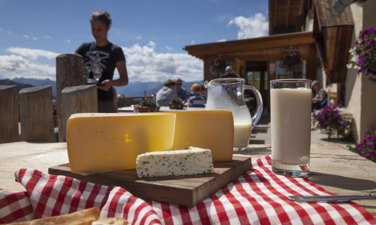 produkte-käse-milch-vinschgau-fb