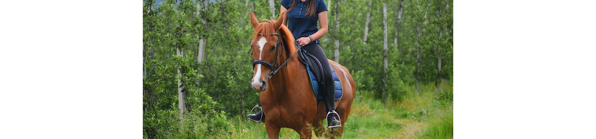 reiten-21