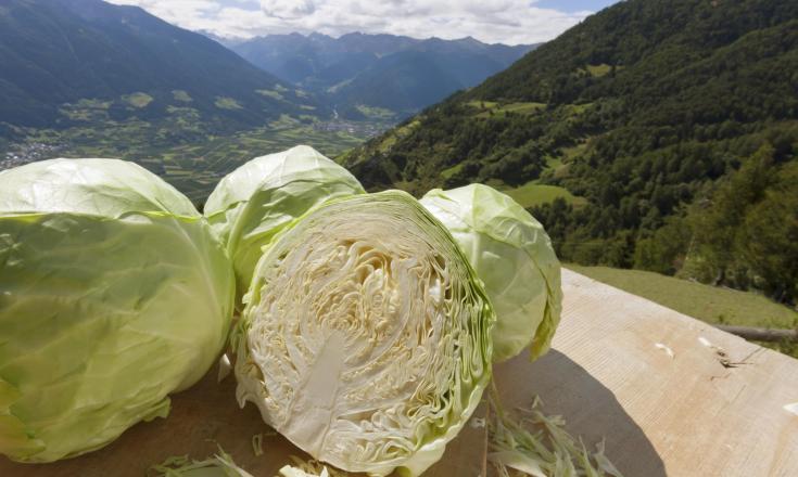 produkte-kraut-panoramablick-vinschgau-fb