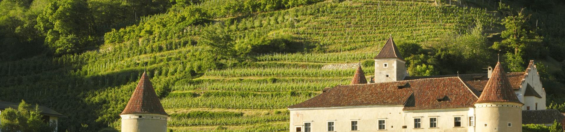 sehenswürdigkeiten-schloss-goldrain-vinschgau-fb