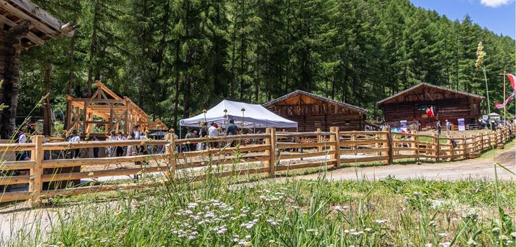 campus-transhumanz-2025-peter-santer-276