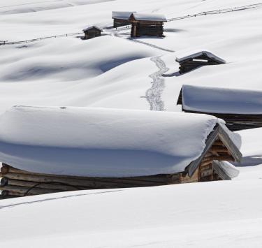 Skiën & andere wintersporten