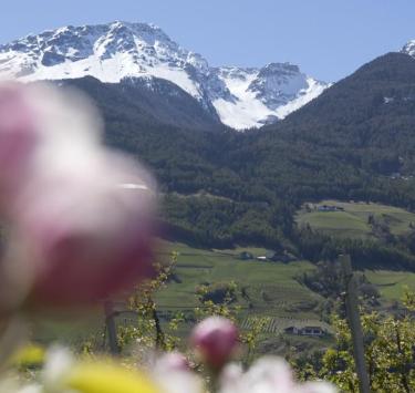 Paesaggio naturale