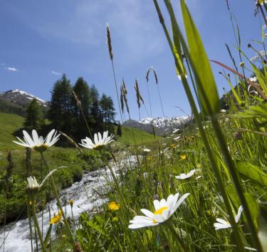 Paesaggio naturale