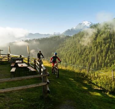 Biking & Cycling