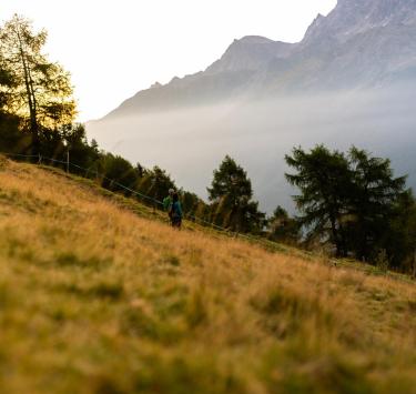 Wandelingen & bergtochten