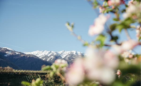 -bp-566803-c-benjamin-pfitscher