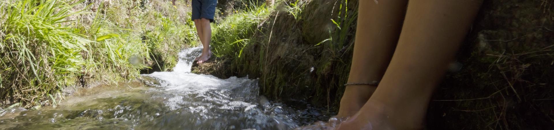 An irrigation channel path