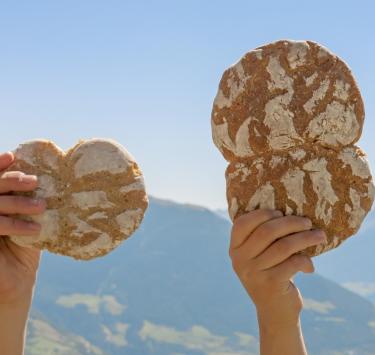 produkte-paarl-brot-vinschgau-fb