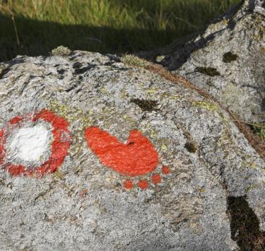 wandern-vinschgerhöhenwegmarkierung-vinschgau-fb