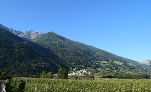 ferienorte-tschengls-schlanders-laas-tvsl