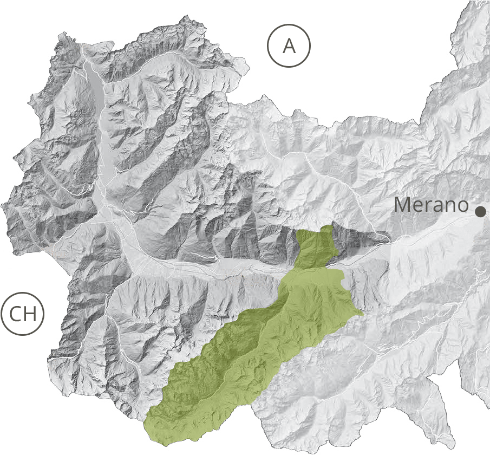 KOMPASS Karte Band 041, Obervinschgau, Alta Val Venosta + Südtirol