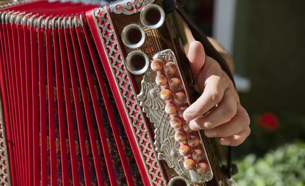 An accordion