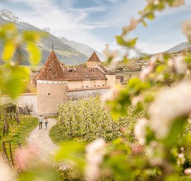 patrick-schwienbacher-schloss-goldrain-blüte-spa-7200