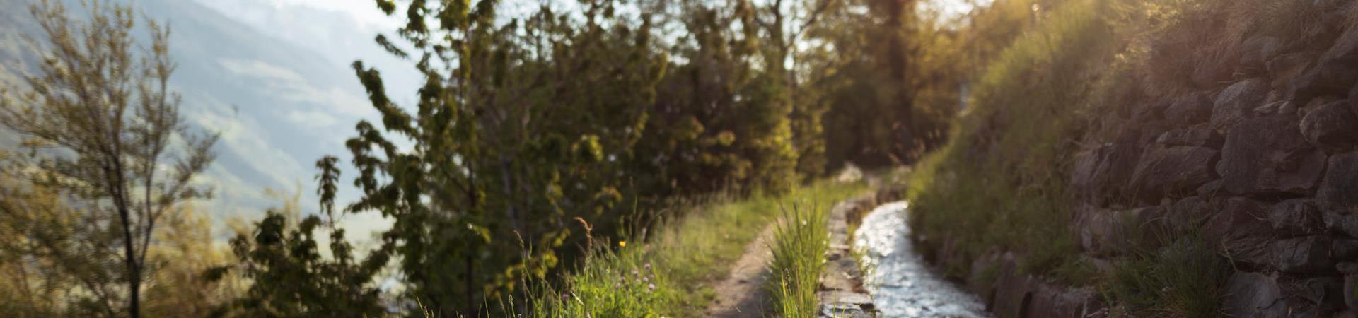 Senales irrigation channel path