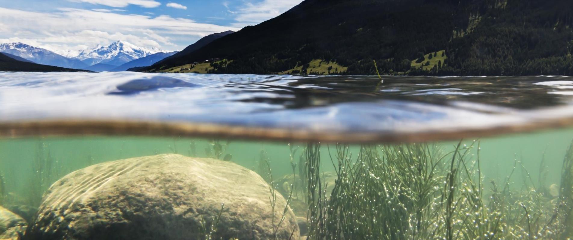 reschensee-blick-unter-wasser-fb