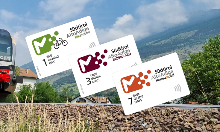 mobilcards