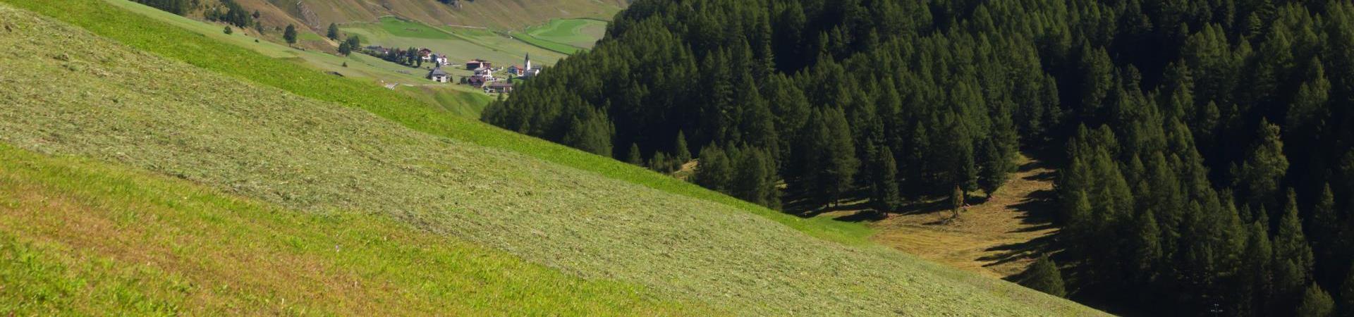 landschaft-langtaufers-vinschgau-fb