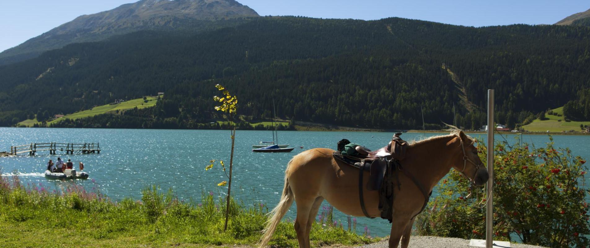 freizeit-reiten-vinschgau-fb