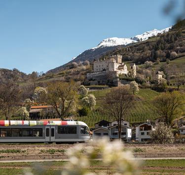 spa-6186