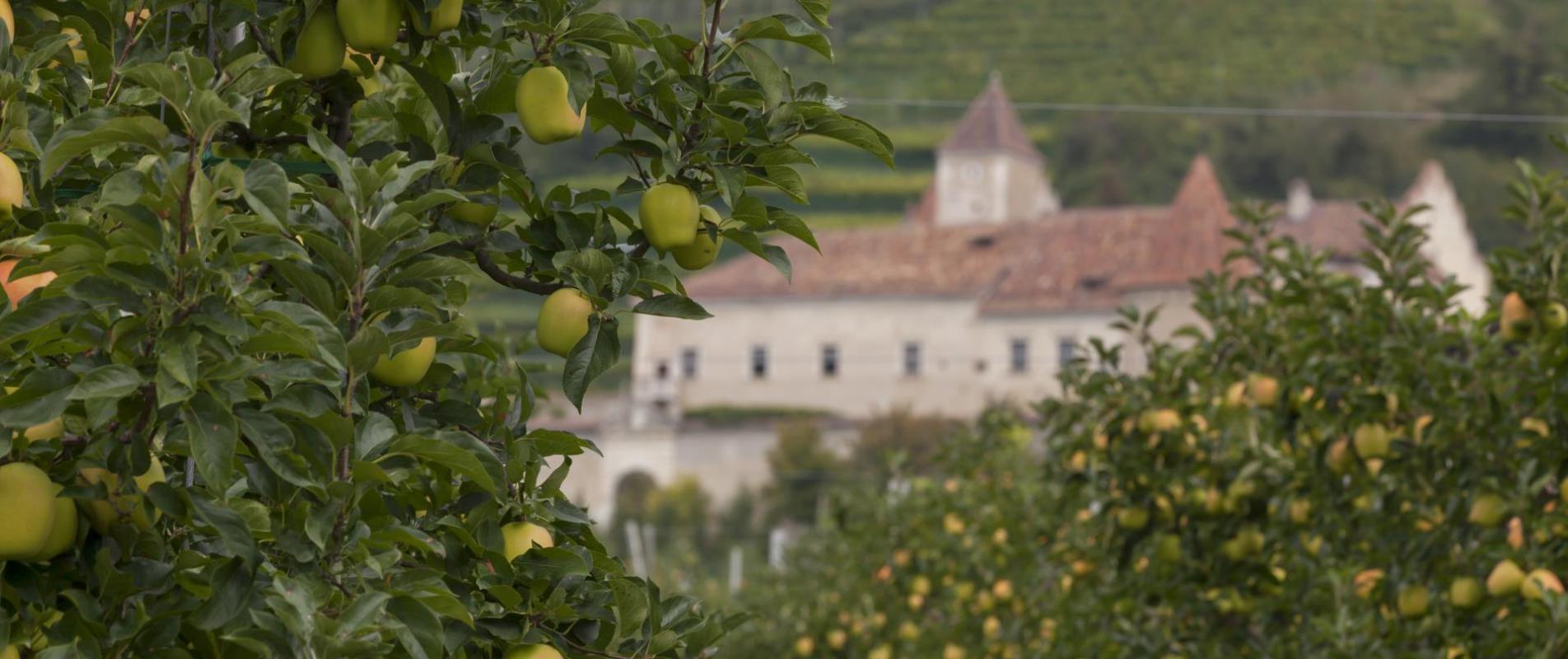 sehenswürdigkeit-schloss-vinschgau-fb