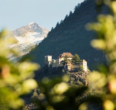idm-suedtirol-frieder-blickle-schloss-juval-19