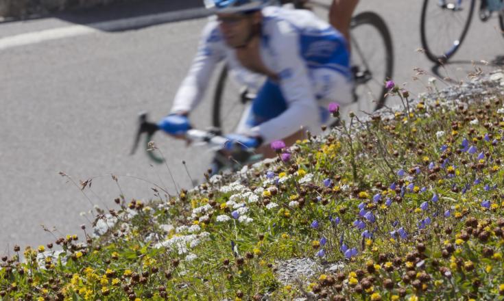 Road cycling