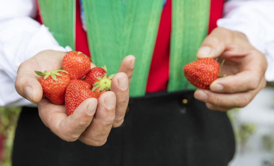 produkte-erdbeeren-tracht-vinschgau-fb