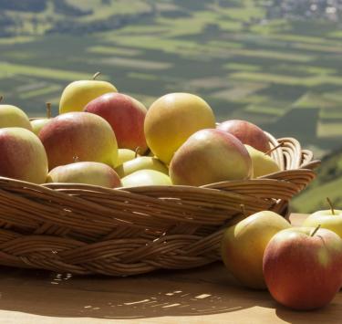produkte-äpfel-vinschgau-fb