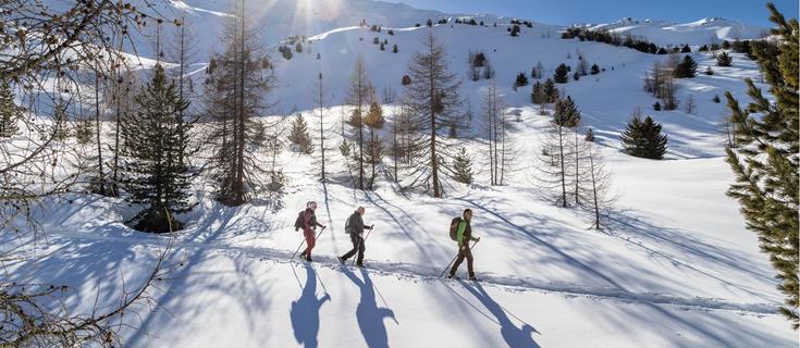 winterwandern-peter-santer-maerz-2024-706