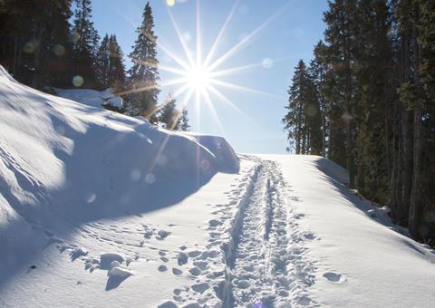 winterwandern-sonne-vinschgau-fb-2
