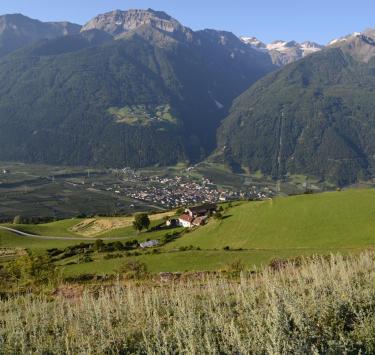 landschaft-allitz-blick-laas-nationalpark-schlanders-laas-gb