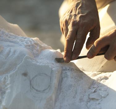 schl-laas033-mg-3902-8