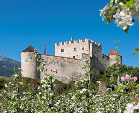 schloss-kastelbell-fruehling-tourismusverein-kastelbell-tschars-martin-kaserer