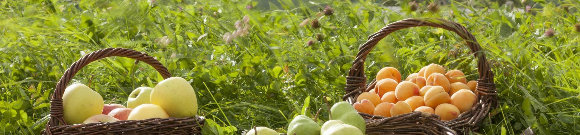 produkte-apfel-marillen-palabirnen-vinschgau-fb