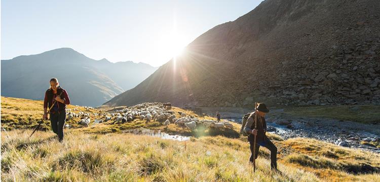 thomas-gruener-transhumanz-vernagt-2023-26