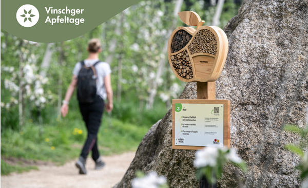26-apfeltage-bilder-mit-logo-13