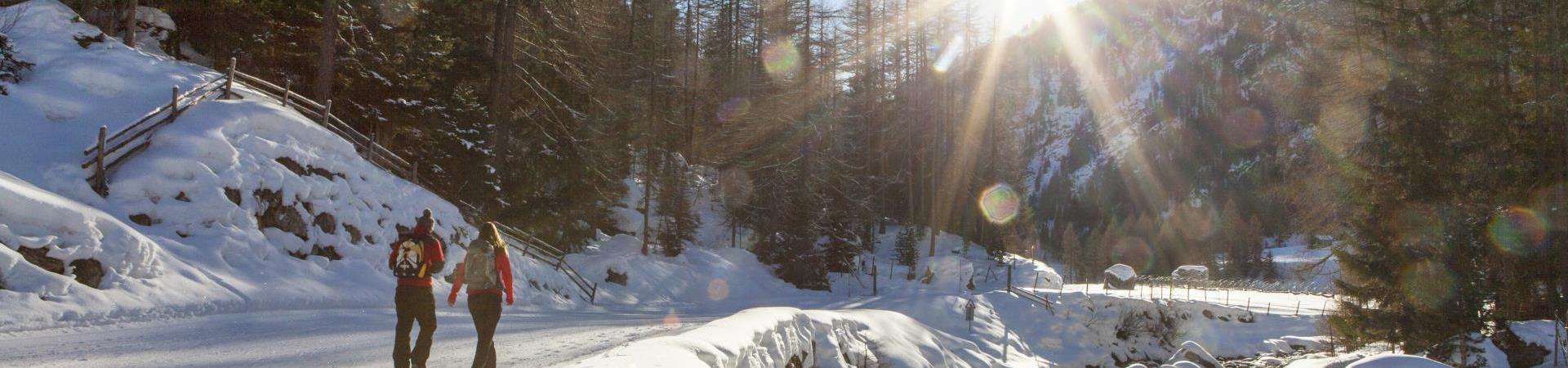 winterwandern-winterwanderweg-vinschgau-fb