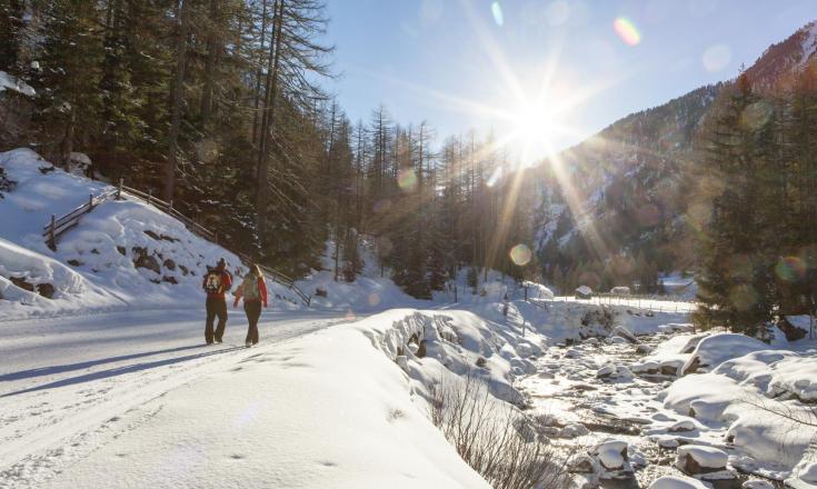 winterwandern-winterwanderweg-vinschgau-fb