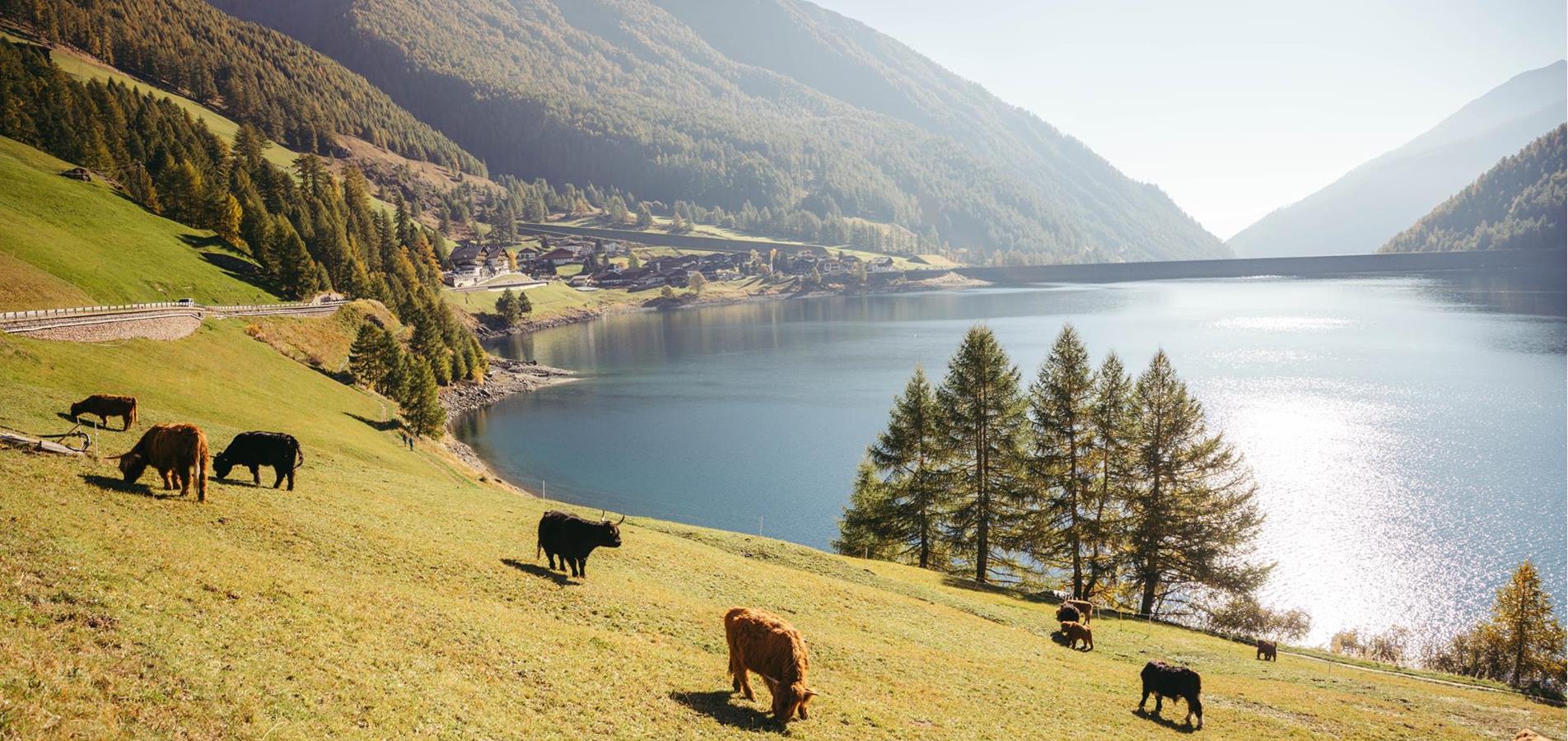 vinschgau-marketing-c-benjamin-pfitscher-39