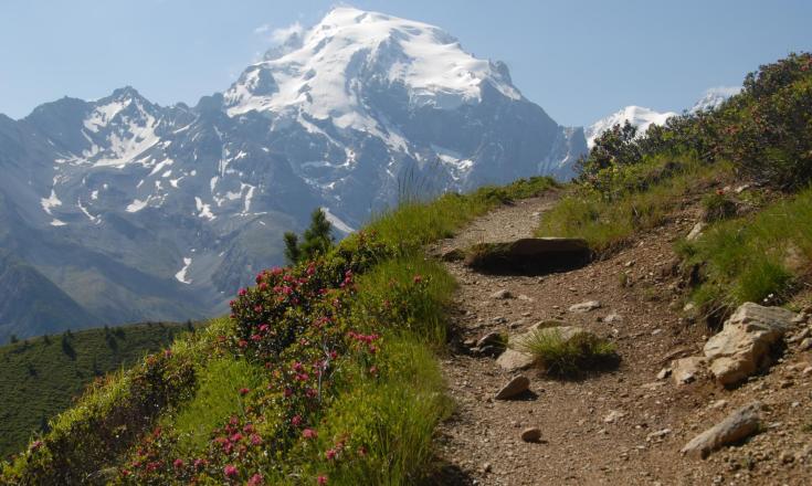 wandern-goldseeweg-vinschgau-gb