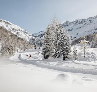 langlaufen-langtaufers-melageralm-vinschgau-bepf