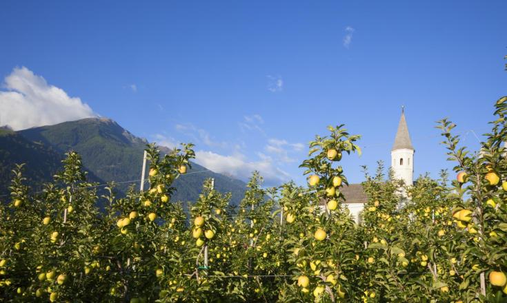 produkte-apfelwiesen-vinschgau-fb