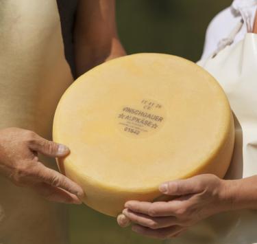 herbstauslese-produkte-almkäse-vinschgau-fb