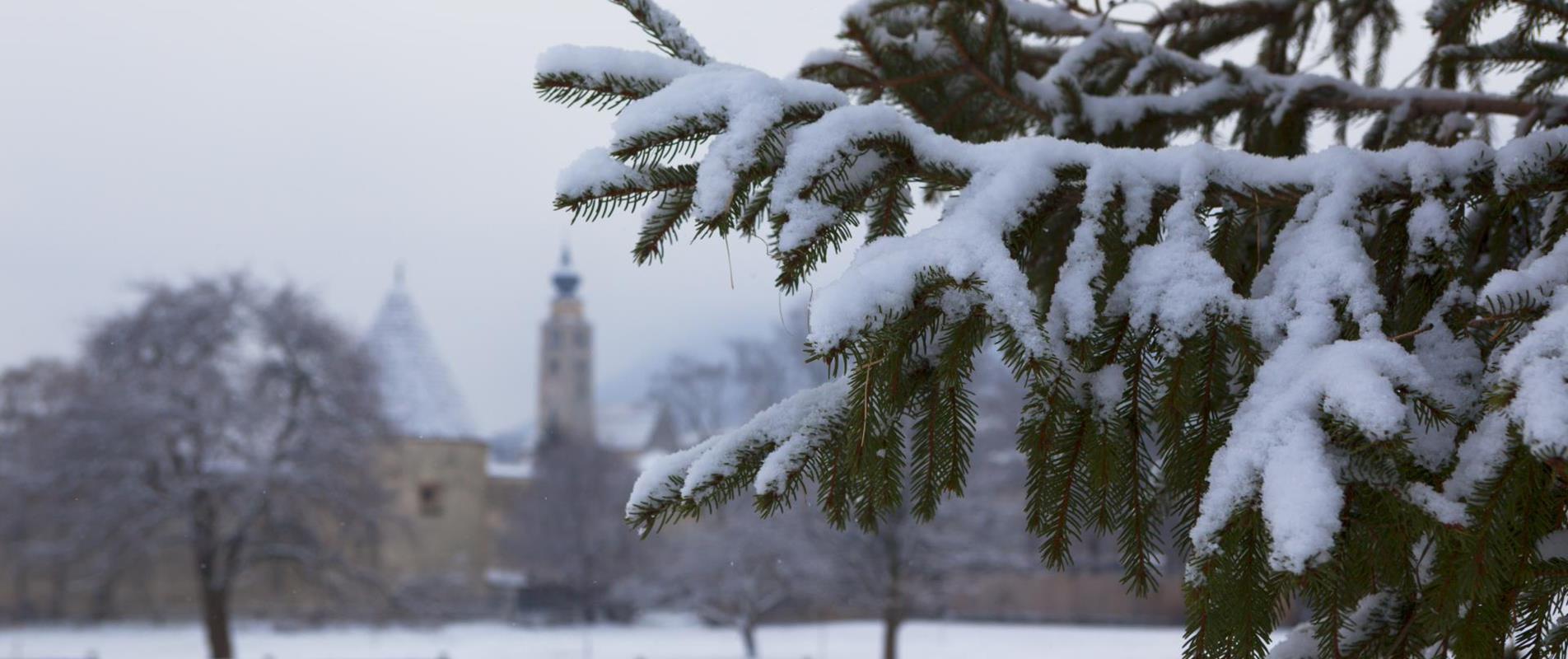 landschaft-glurns-winter-fb