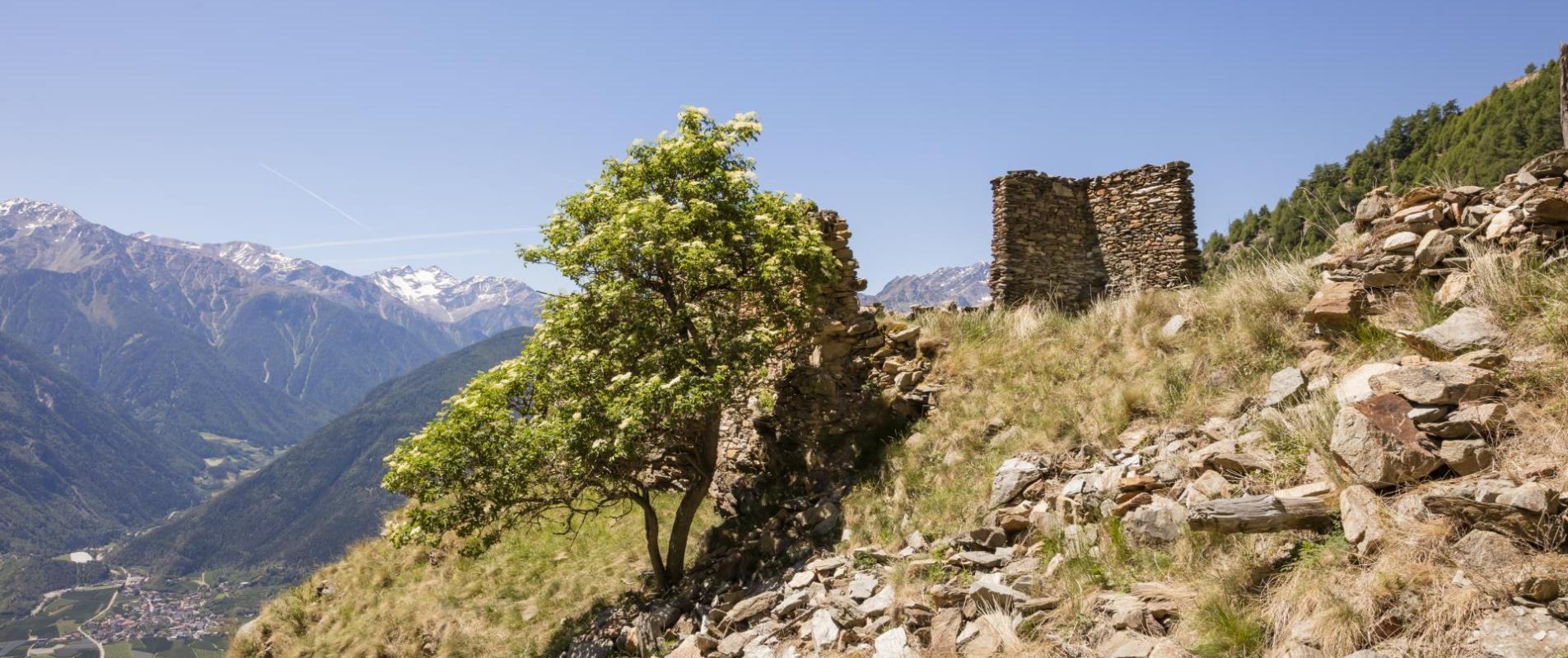Auf dem Vinschger Höhenweg