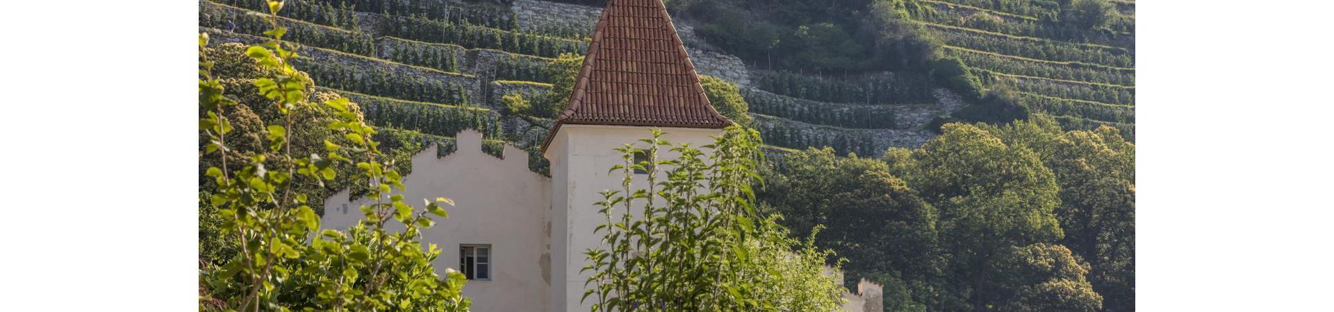 sehenswürdigkeiten-schloss-schlandersburg-vinschgau-fb